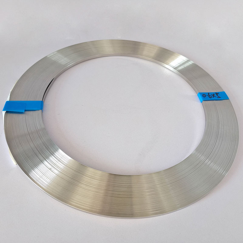 High Performance roestvrijstalen strip
