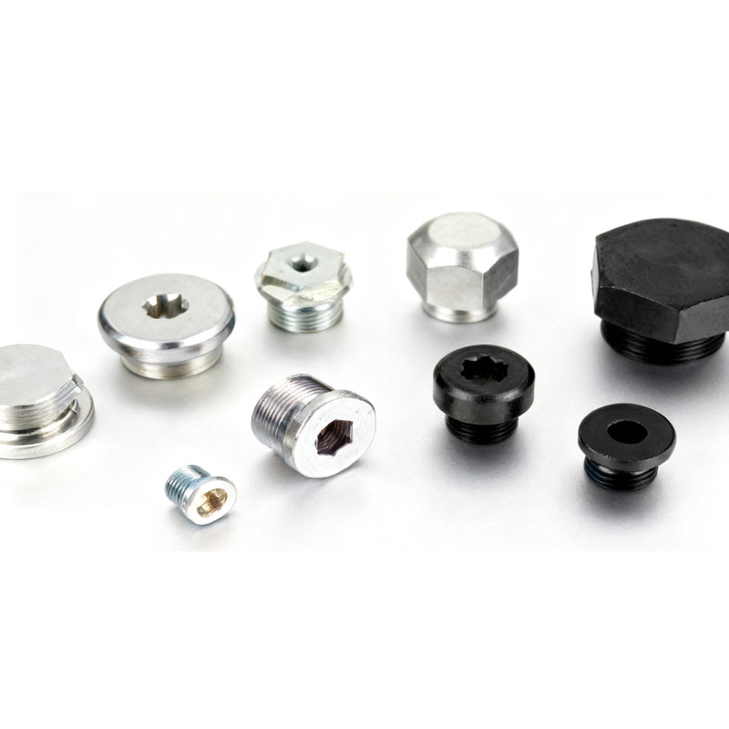 Roestvrijstalen flensplug